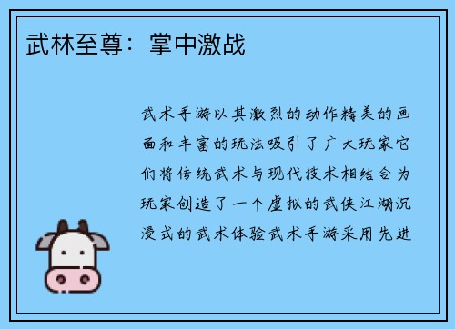 武林至尊:掌中激战